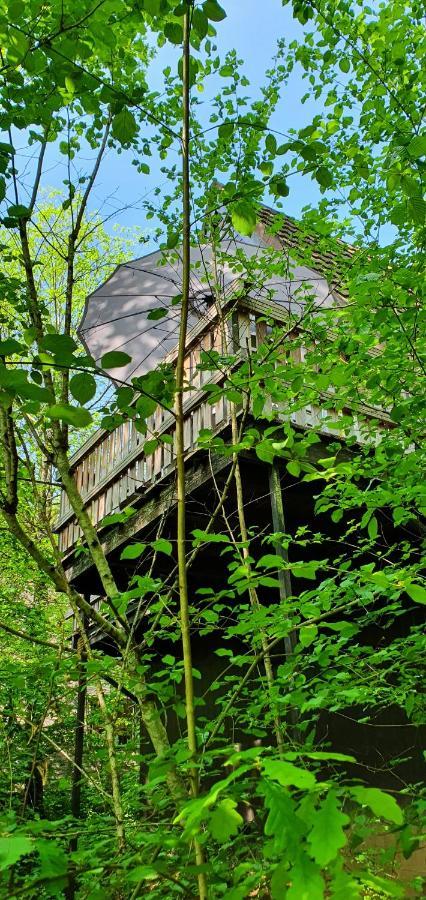 Boshuisje Durbuy Met Zwembad Op Het Park Exteriör bild