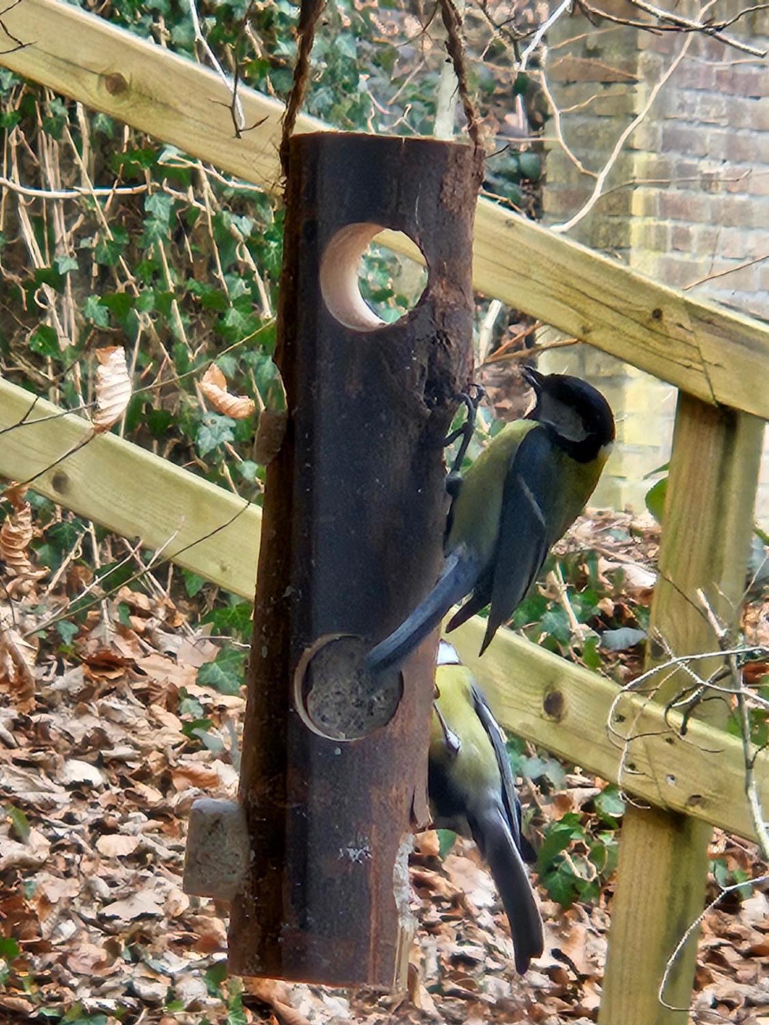 Boshuisje Durbuy Met Zwembad Op Het Park Exteriör bild